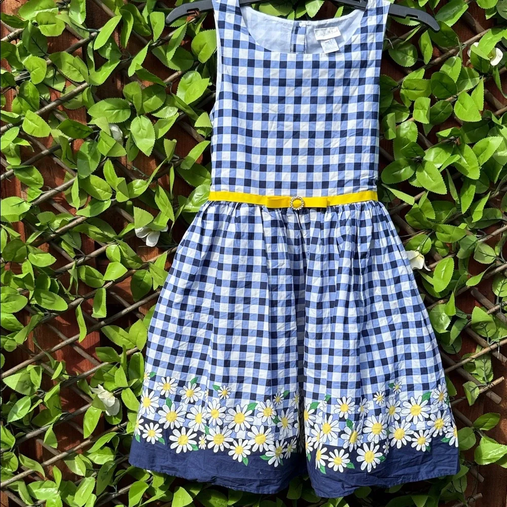 Sweet Heart Rose Blue Gingham Checkered Daisy Dress Size 16 Girls